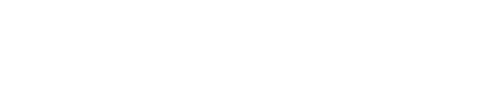 logo it81
