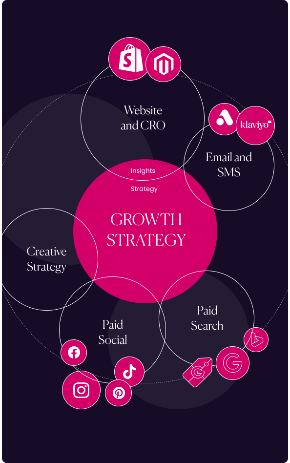 Ecommerce Growth Strategy Image