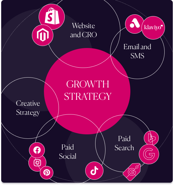 Ecommerce Growth Marketing Agency Image